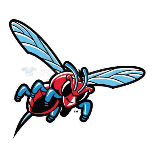 Delaware State Hornets Iron-on Stickers (Heat Transfers)NO.4245